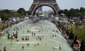 Lee más sobre el artículo Ola de calor en Francia provoca aumento del 5.4% en la mortalidad en agosto