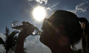 Lee más sobre el artículo OMM prevé prolongación del fenómeno El Niño y temperaturas elevadas en 2024