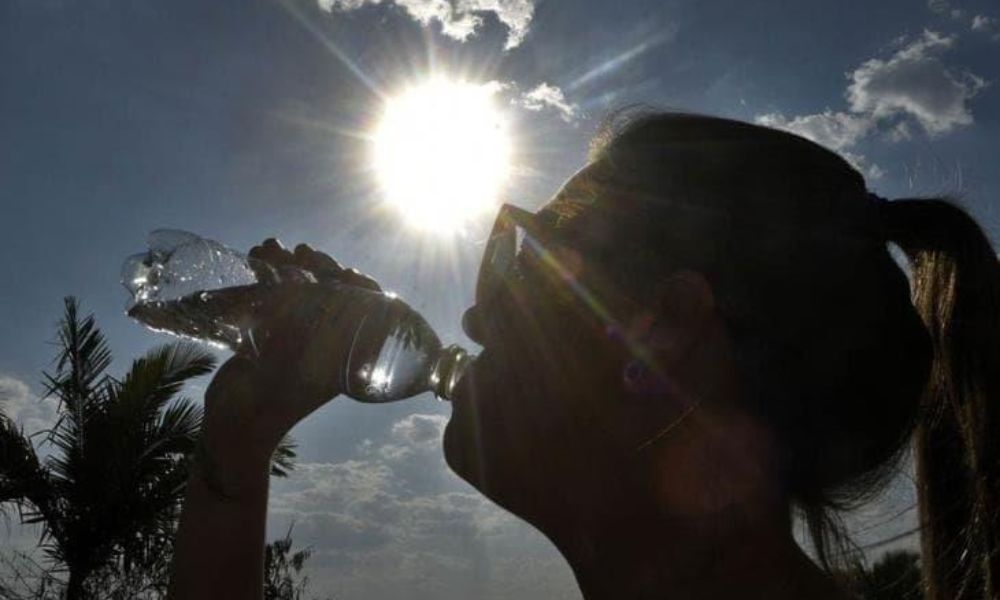 Lee más sobre el artículo OMM prevé prolongación del fenómeno El Niño y temperaturas elevadas en 2024