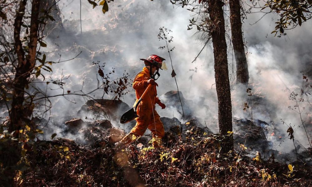 Lee más sobre el artículo Norte de México se prepara ante la temporada de incendios