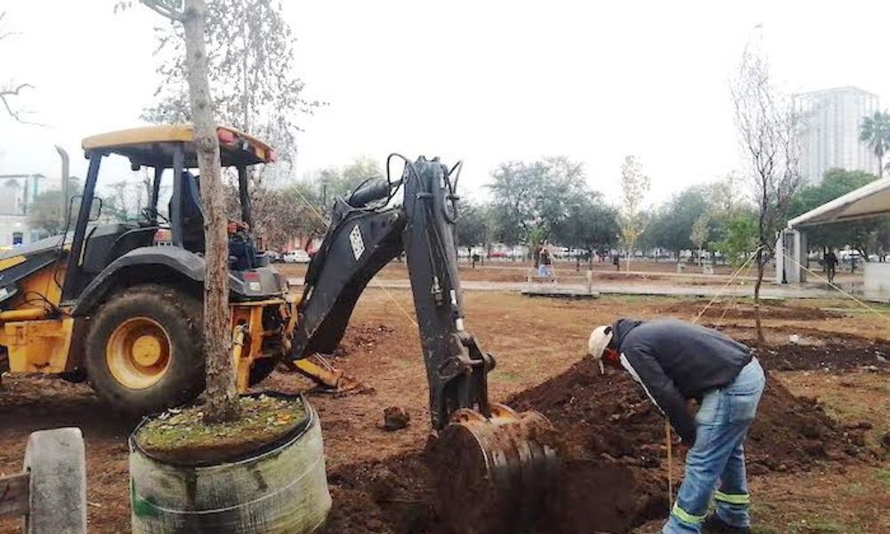 En este momento estás viendo Monterrey inicia un proyecto de reforestación en la Alameda ‘Mariano Escobedo’