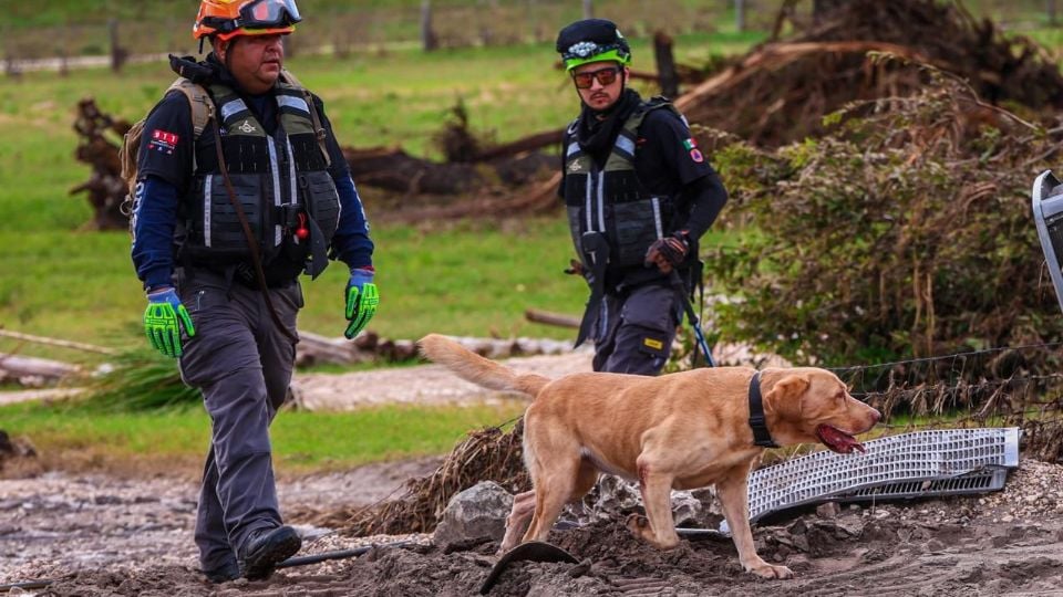 En este momento estás viendo Nuevo León envía rescatistas a Texas tras inundaciones