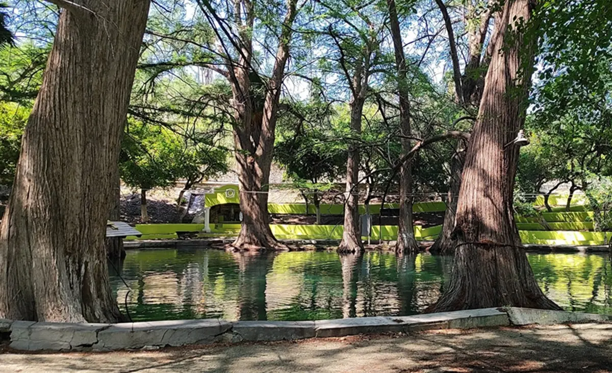 En este momento estás viendo Parque Ojo de Agua San Diego: naturaleza y diversión en Lampazos de Naranjo
